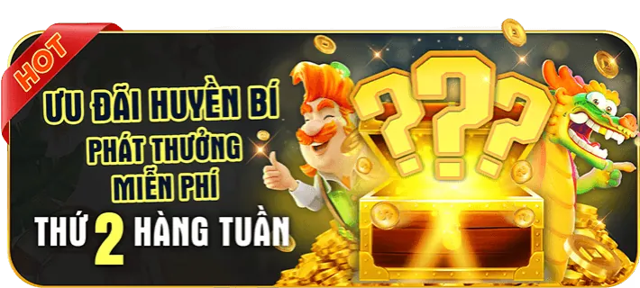 Tích lũy điểm và thăng cấp VIP